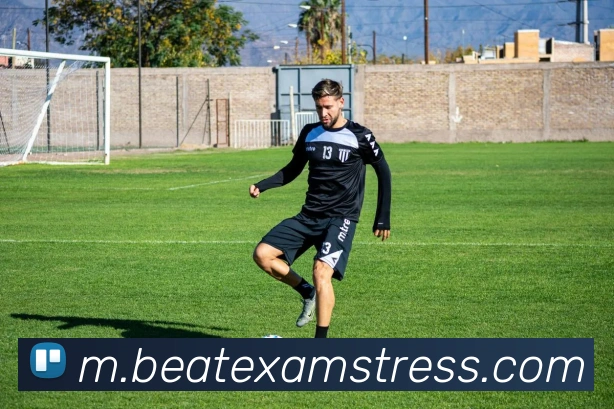 数据分析功能